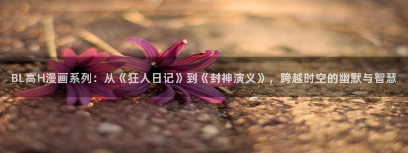 女神漫画韩漫免费阅读：BL高H漫画系列：从《狂人日记》到《封神演义》，跨越时空的幽默与智慧