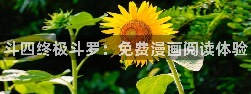女神漫画大全在线阅读免费：斗四终极斗罗：免费漫画阅读体验