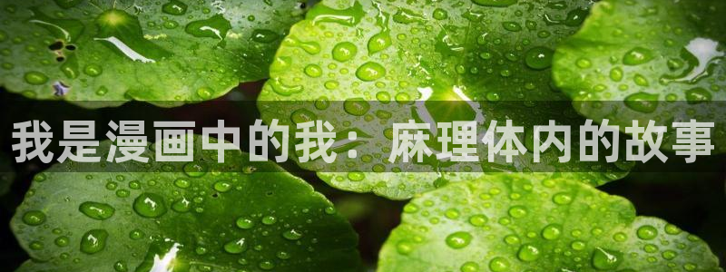 海滩女神漫画免费阅读完整土豪漫画：我是漫画中的我：麻理体内的故事